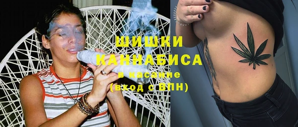 дмт Новодвинск