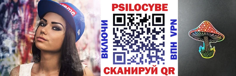 Галлюциногенные грибы Psilocybine cubensis  Купить где  Красногорск 